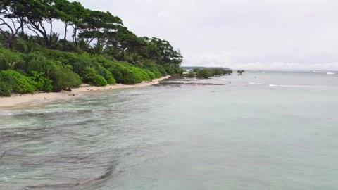 Andaman Beach Stock-Footage 242190660
