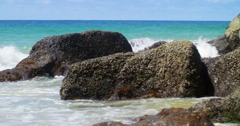 Andaman Beach Phuket Stock Footage 83102964