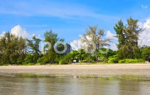 Andaman shore Stock Photos