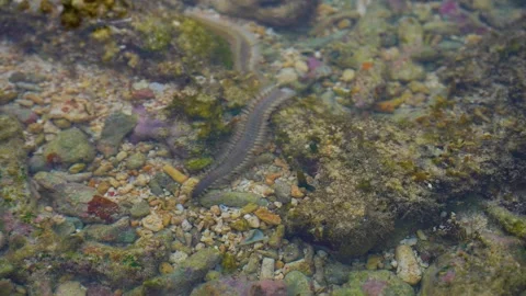 Andaman's landscape Stock-Footage 244448054