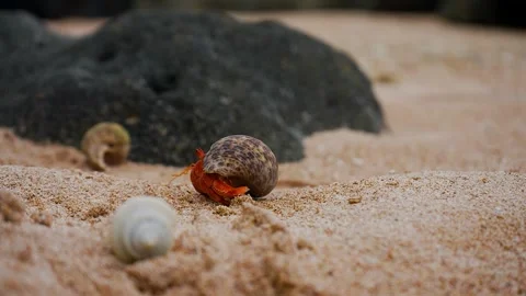 Andaman's landscape Stock-Footage 244448136