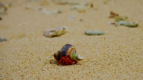 Andaman's landscape Stock-Footage 244449083