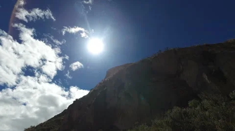 Andean Lapwings Stock Footage 66380244