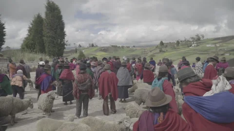 Andean mountain market, indigenous people selling sheep Stock Footage