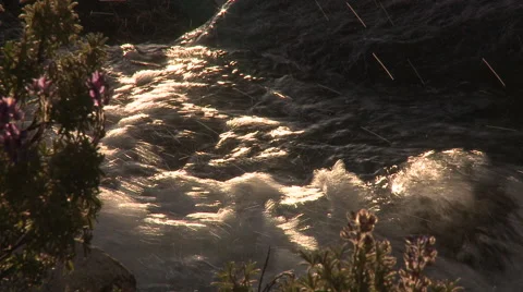 Andes Stock Footage 40841947