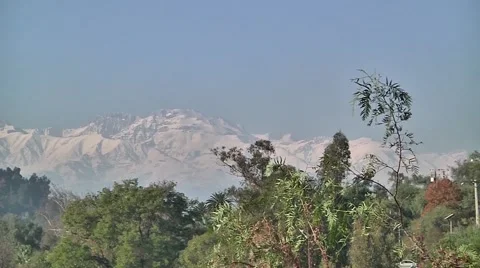 Andes montain beyond the trees Stock Footage 53203693