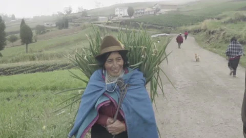Andes Mountain Market, Indigenous woman arriving the indigenous market Stock Footage
