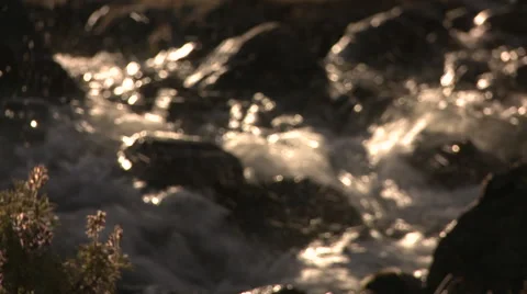 Andes stream Stock Footage 40843677