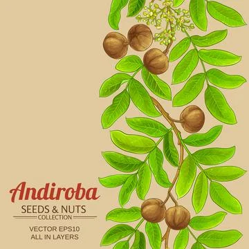 Andiroba vector pattern on color background Stock Illustration