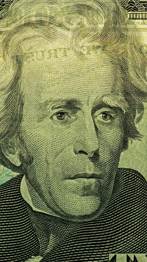 Andrew Jackson dollar portrait with moving green light Video stock 345720518