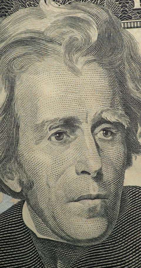 Andrew Jackson dollar portrait in Stop Motion Animation. Stock Footage 346468691