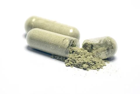 Andrographis paniculata herbal capsules Фото