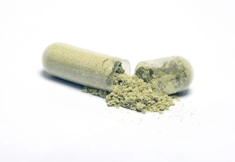 Andrographis paniculata herbal capsules Фото