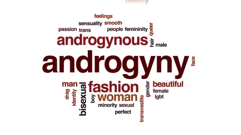 Androgyny animated word cloud, text design animation. Stock Footage 80723180