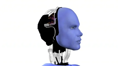 Android Stock Footage 727420