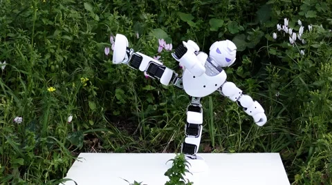 An android humanoid robot practices Kung Fu Karate in the park. Видео 60570718