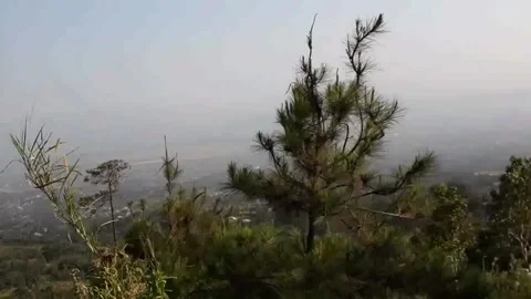 AndroVid 7571 Video stock 237175208