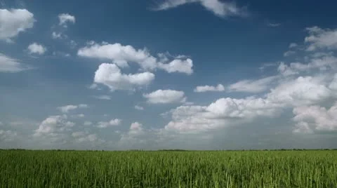 Andscape, field andblue sky with clouds, timelapse 스톡 동영상 11024966