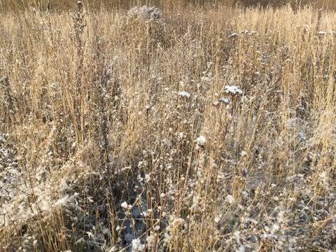 Andscape with the first snow Fotos de archivo