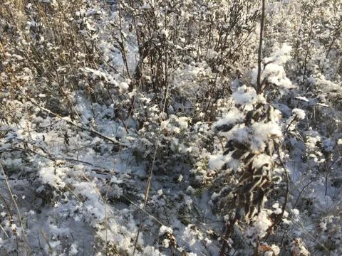 Andscape with the first snow Stock-Fotos