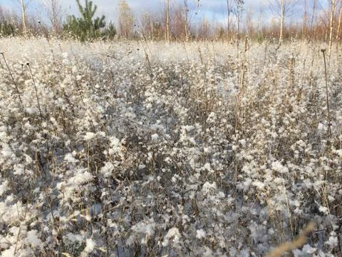 Andscape with the first snow Stock-Fotos