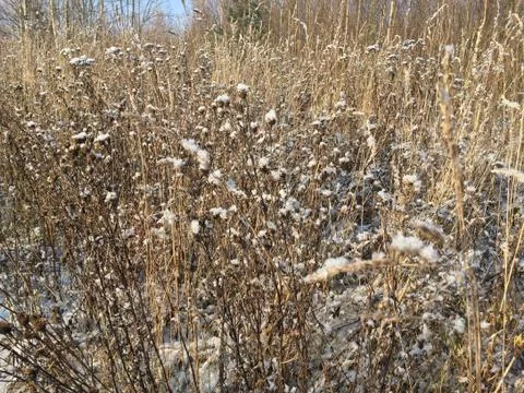 Andscape with the first snow Foto stock