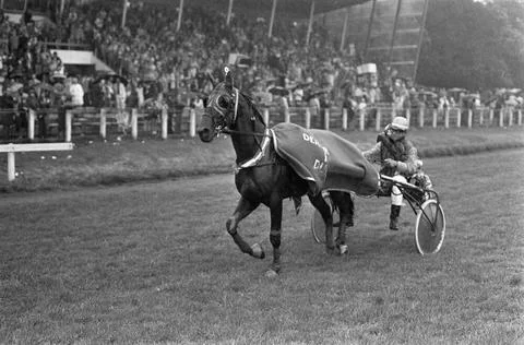 Anefo photo collection. Derby for trotters on Duindigt, winner Lento H. wi... Stock Photos