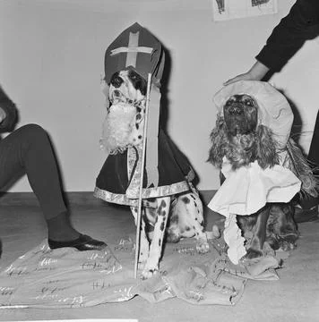 Anefo photo collection. Dogs dressed up as Sinterklaas and Zwarte Piet by ... Stock Photos