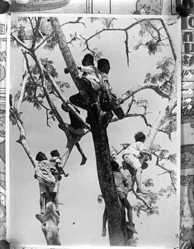 Anefo photo collection. Madura. Lookout. October 27, 1947. Indonesia, Madu... Stock Photos