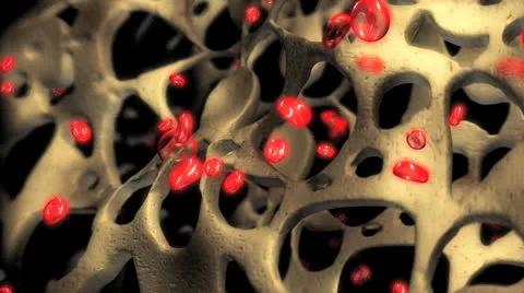 AnemiaCellsBones Видео 24633899