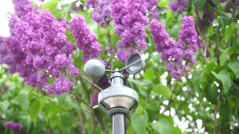 Anemometer On A Background Of Lilac Flowers. Stock Footage 311381416
