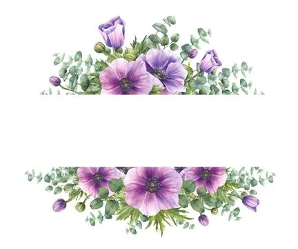 Anemone and eucalyptus branches frame. Purple flowers buds and green leaves Stock Illustration