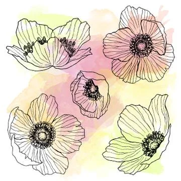 Anemone flower linear drawing set with watercolor spot. Isolated wild plant and Stock Illustration