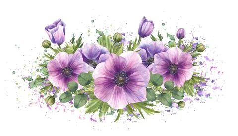 Anemone flowers and eucalyptus silver dollar bouquet on watercolor purple, green 스톡 일러스트