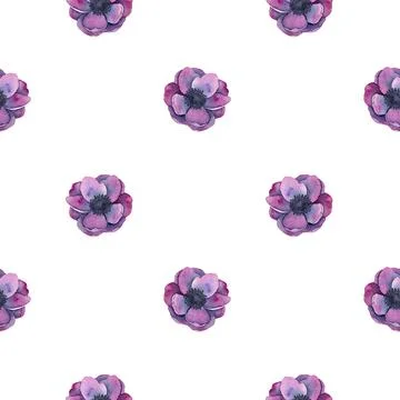 Anemone flowers seamless pattern in Bright purple colors. Hand drawn Watercolor Stock Illustration