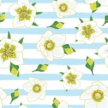 Anemone flowers seamless pattern on light blue stripes Stock Illustration