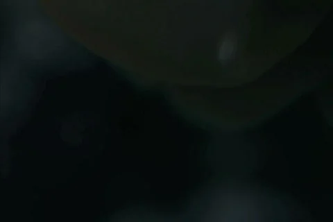 Anemone Macro SD NTSC Stock Footage 380865