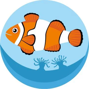 Anemonefish Stock Illustration