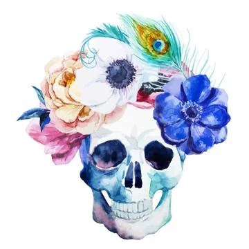 Anemones and scull Stock Illustration