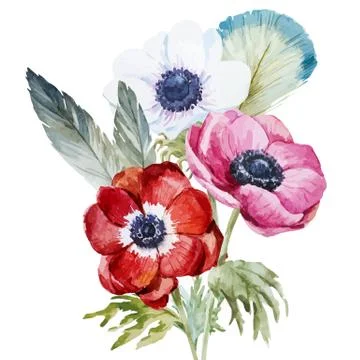 Anemones Stock Illustration