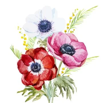 Anemones Stock Illustration