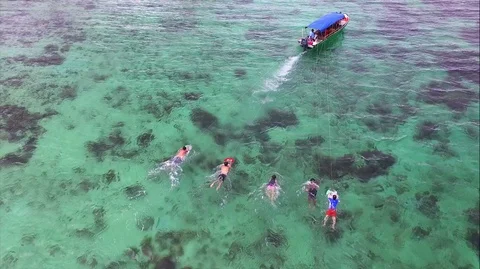 Anfibia board practicing water sports in the tropics Stock Footage 91205405