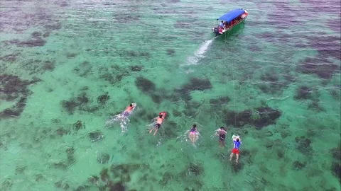 Anfibia board practicing water sports in the tropics Stock Footage 91230776