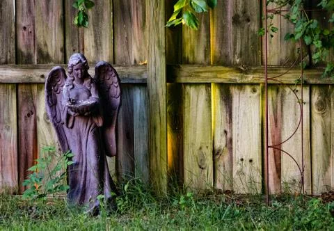 Angel in the backyard Stock Photos
