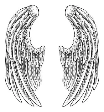Angel Eagle Pegasus Feather Wings Illustration Ilustração Stock
