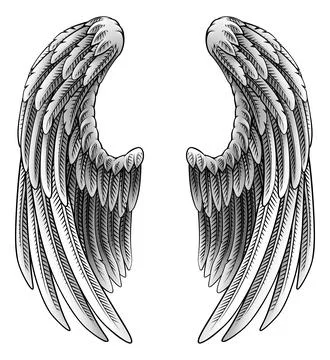 Angel Eagle Pegasus Feather Wings Illustration Stockillustratie