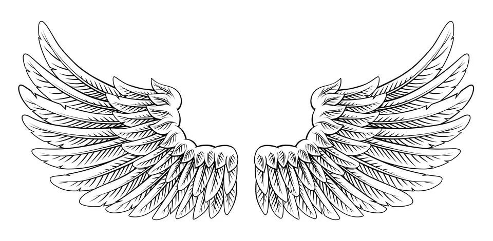 Angel Eagle Pegasus Feather Wings Illustration Stock Illustration