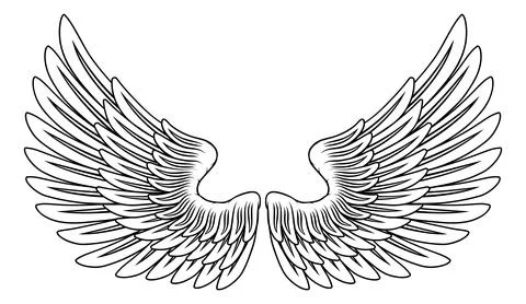 Angel Eagle Pegasus Feather Wings Illustration Stockillustratie