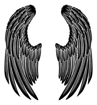 Angel Eagle Pegasus Feather Wings Illustration Stock Illustration