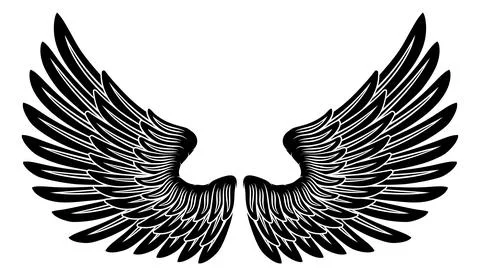 Angel Eagle Pegasus Feather Wings Illustration Stock Illustration